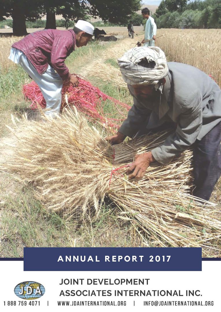 2017 Report Cover